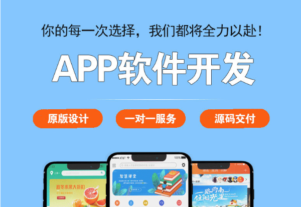 江西南昌APP软件定制开发公司,商城网站建设公司